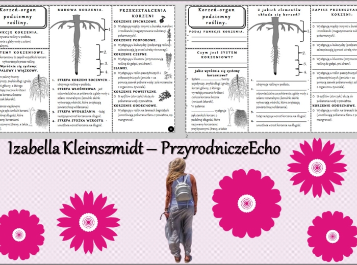 Minizestaw do tematu „Korzeń - organ podziemny rośliny” – sketchnotka + karta pracy w pdf + gratisowy link do prezentacji multimedialnej niekomercyjnej wykonanej w genial.ly do indywidualnego pobrania i użycia do celów niekomercyjnych. Biologia 5, Dział 