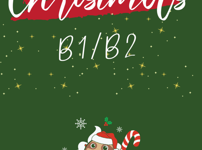 Christmas Worksheet B1/B2 (Gotowa lekcja)