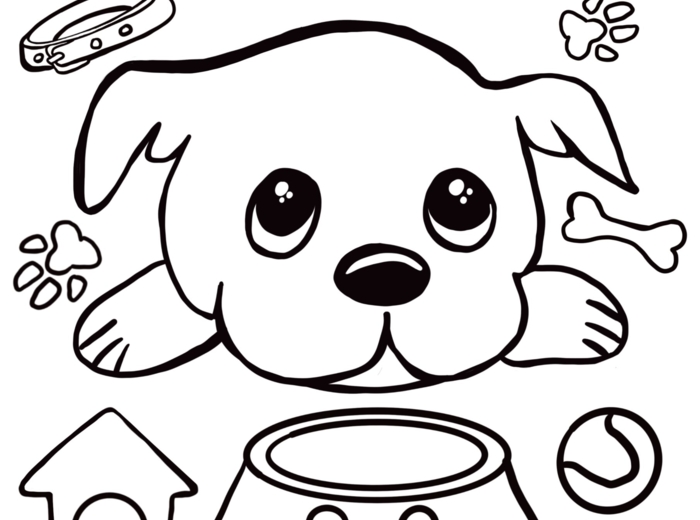 Dzień Kundelka - plakat, opaski