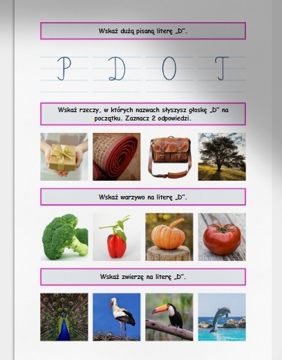 D i d. Karta pracy. Sprawdzian