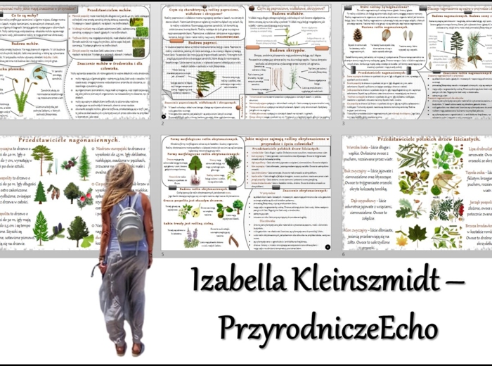 Zestaw sketchnotek/notatek/streszczeń/wklejek/ściąg dla ucznia i nauczyciela/edukacja domowa w pdf. Biologia 5 dział „Mchy. Paprotniki. Nagonasienne. Okrytonasienne”. Notatki zostały wykonane na podstawie podręcznika z wydawnictwa WSiP.