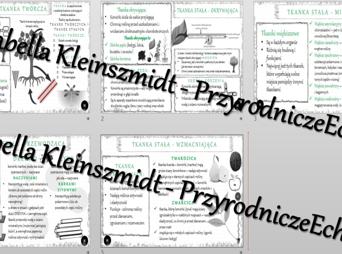 Sketchnotka - notatka „Tkanki roślinne” wykonana w power point do edycji. Biologia 5; „Tkanki i organy roślinne”