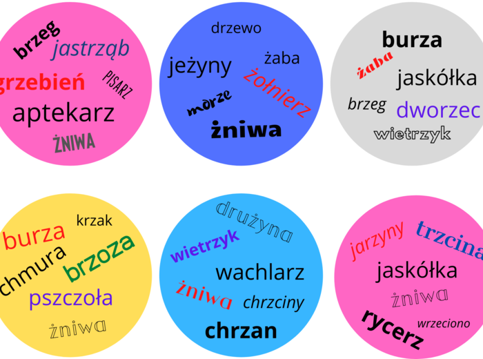 Gra Dobble ortograficzne - wersja kolorowa