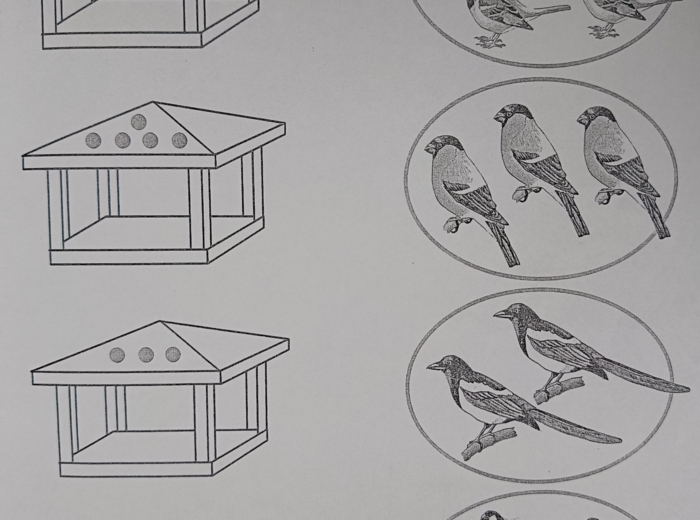 Ptaki zimą karty pracy