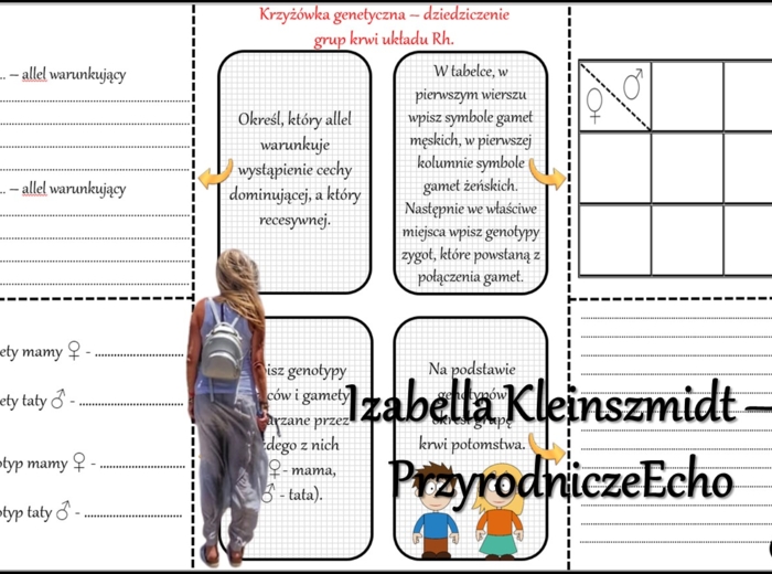 Notatka okienkowa/stacja zadaniowe/notatka/notatka graficzna/karta pracy/sketchnotka „Dziedziczenie grupy krwi”, „Jak zapisać krzyżówkę genetyczną?” w pdf. Biologia 8 dział „Genetyka”. Materiał wykonany na podstawie podręcznika z wydawnictwa Nowa Era – n
