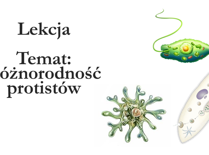 Klasa 5 - Protisty - prezentacja