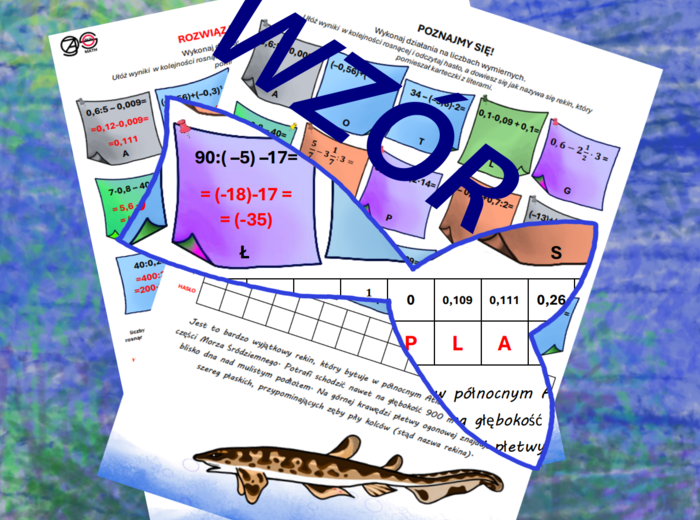 (klasa 7) Działania na liczbach wymiernych również ujemnych.