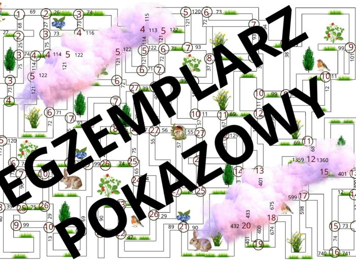 LABIRYNT DODAWANIE I ODEJMOWANIE