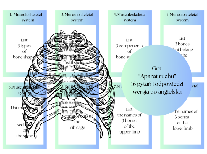 Biologia. Klasa 7. Gra dydaktyczna jako metoda nauczania. Aparat ruchu. Wersja po angielsku. Pytania i odpowiedzi.