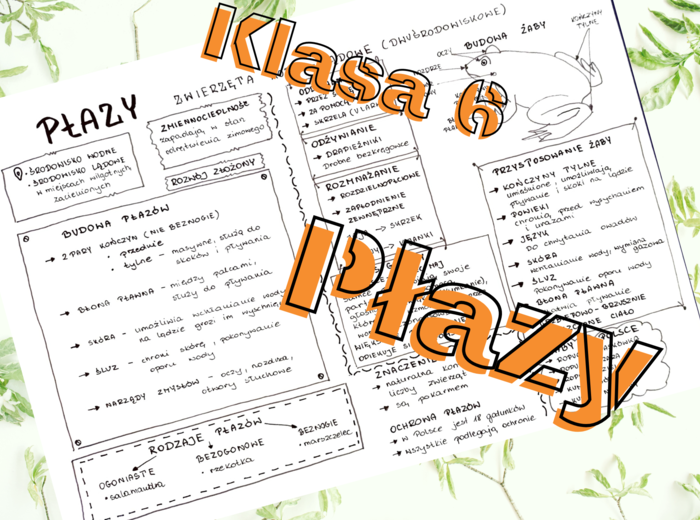 Klasa 6. Biologia. Płazy