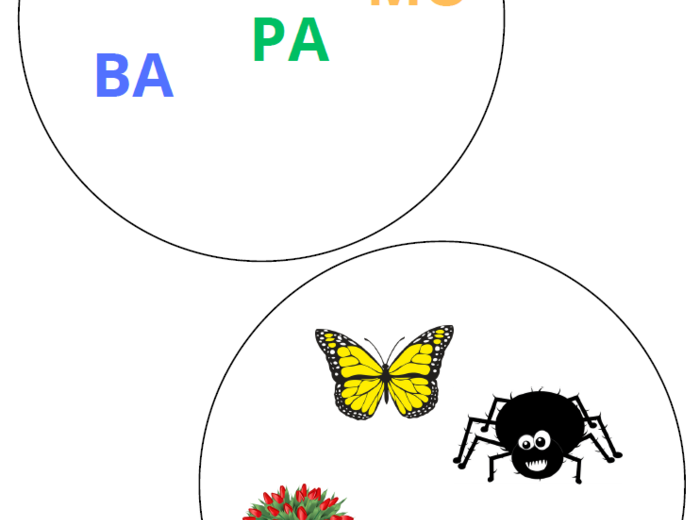 Wyszukiwanka sylabowa – gra utrwalająca czytanie sylab