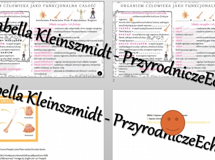 Minizestaw na temat „Organizm człowieka jako funkcjonalna całość” – sketchnotka + karta pracy w power point + gratisowy link do prezentacji multimedialnej niekomercyjnej wykonanej w genial.ly do indywidualnego pobrania i użycia do celów niekomercyjnych. 