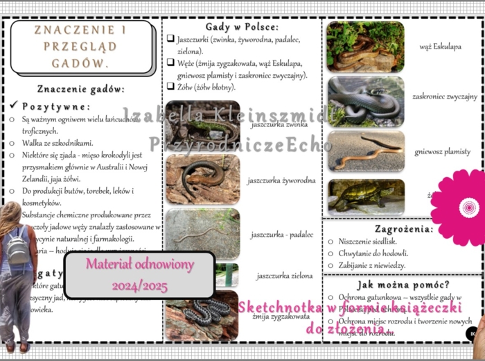 Sketchnotka/książeczka/notatka/wklejka/ściąga dla ucznia i przypomnienie dla nauczyciela/edukacja domowa. Temat „Przegląd i znaczenie gadów”. Materiał w pdf. Biologia 6, dział „Kręgowce zmiennocieplne”. Nowość 2024/2025.