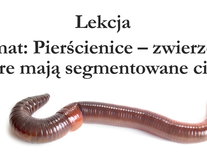 Klasa 6 - Pierścienice - prezentacja