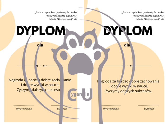 Dyplomy / wkładki na zakończenie roku szkolnego