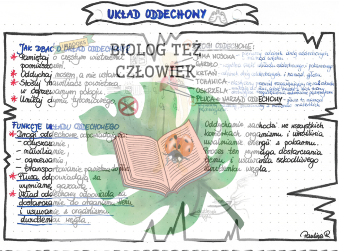 PRZYRODA - Ciało człowieka - Układ oddechowy - kolor