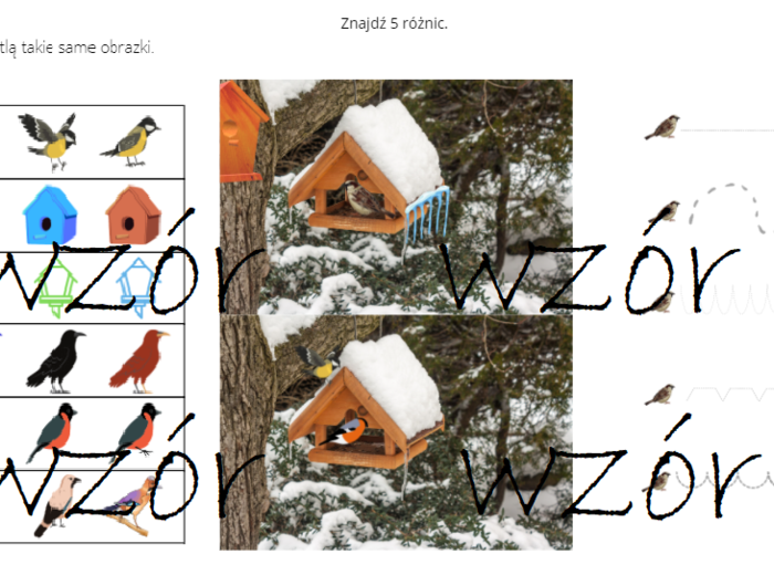 Ptaki zimą - pakiet