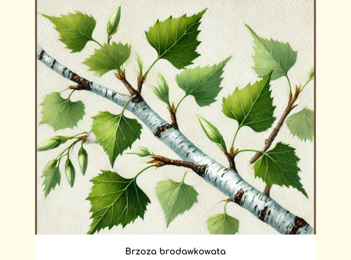 Ekologiczne memory (gra edukacyjna)