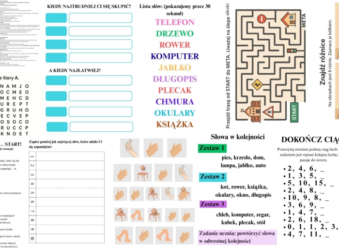 Oferta edukacyjna: „Zostań mistrzem koncentracji – ćwiczenia na spostrzegawczość i pamięć”