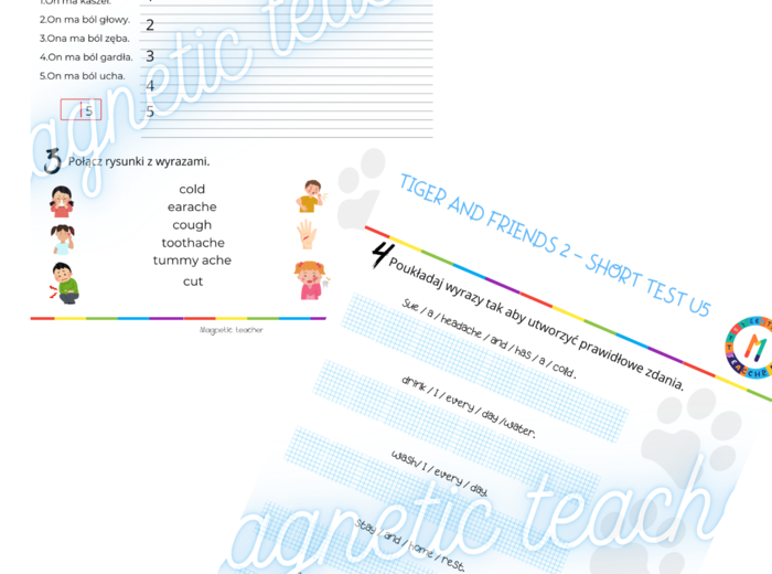 Tiger and friends 2 unit 5 KARTKÓWKA