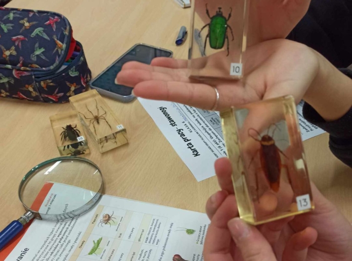 Karta pracy - stawonogi