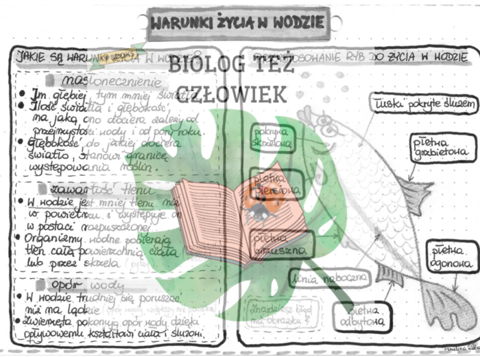 Warunki życia w wodzie - szarość
