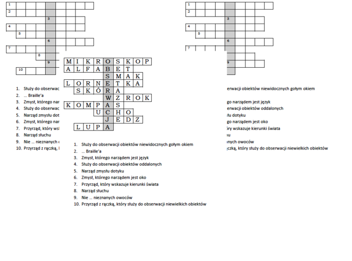 Logogryf dla klasy 4 na podsumowanie lekcji o przyrządach i pomocach przyrodnika