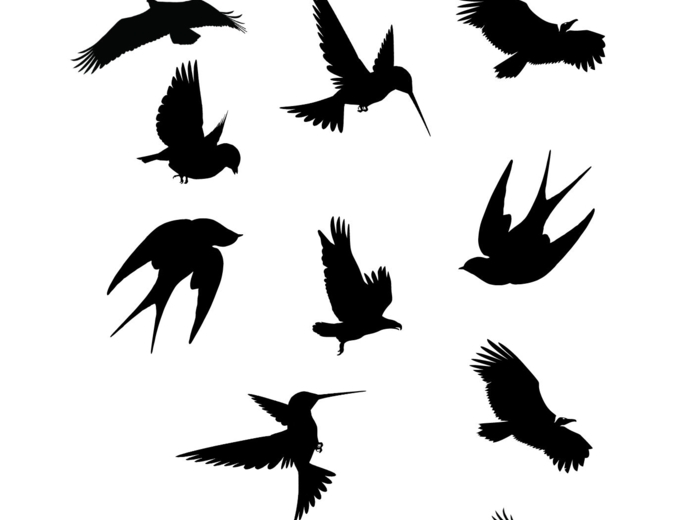 Ćwiczenia rozwijające umiejętności poznawcze dla przedszkolaków. Część 1