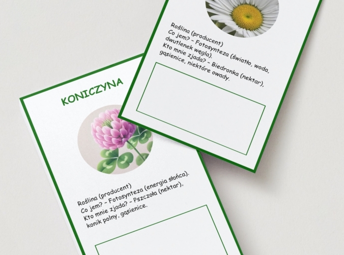 Zabawa w "łańcuch pokarmowy"