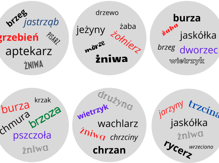 Gra Dobble ortograficzne - wersja stonowana