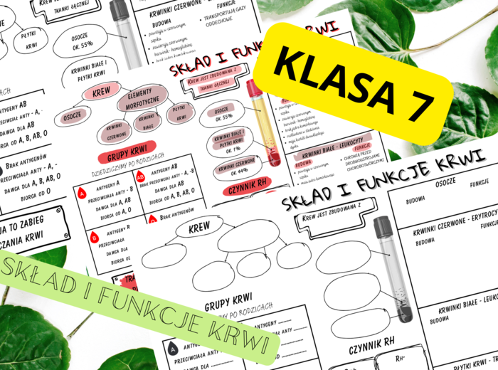 Biologia 7. Skład i funkcje krwi