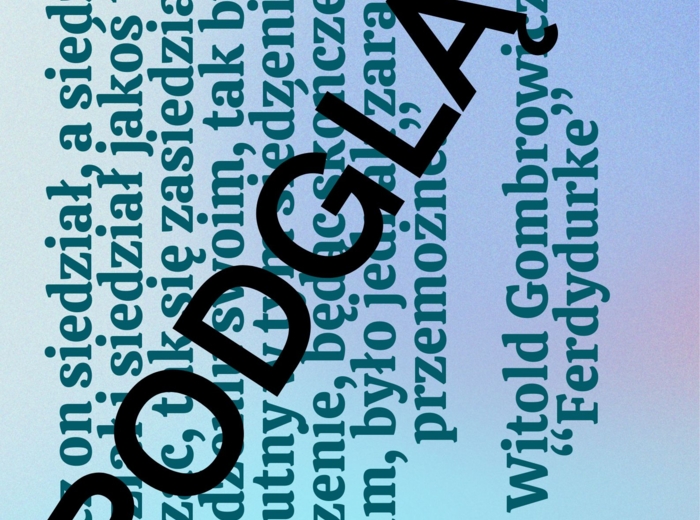 Polscy pisarze - gazetka