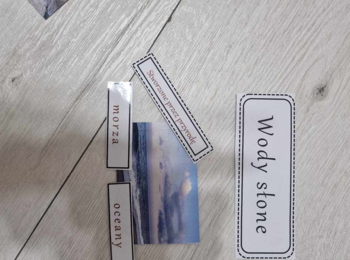 Materiał do zalaminowania/praca w grupach/stacje zadaniowe/układanka/puzzle „Wody słodkie i wody słone” w pdf. Przyroda, dział „Poznajemy krajobraz najbliższej okolicy”.