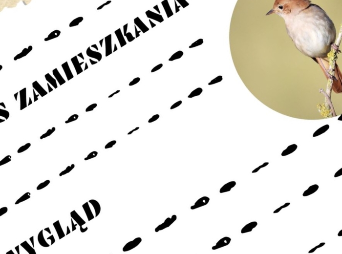 Karta pracy do utworu Juliana Tuwima ,,Spóźniony słowik"