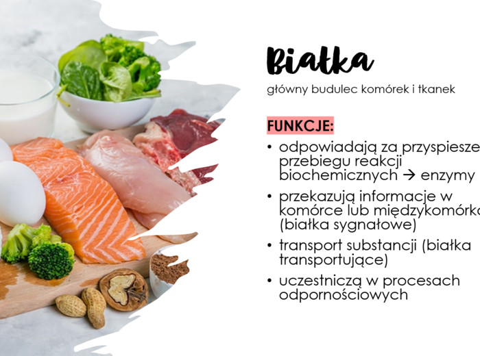 Układ pokarmowy 3 KLASA ROZSZERZONA BIOLOGIA