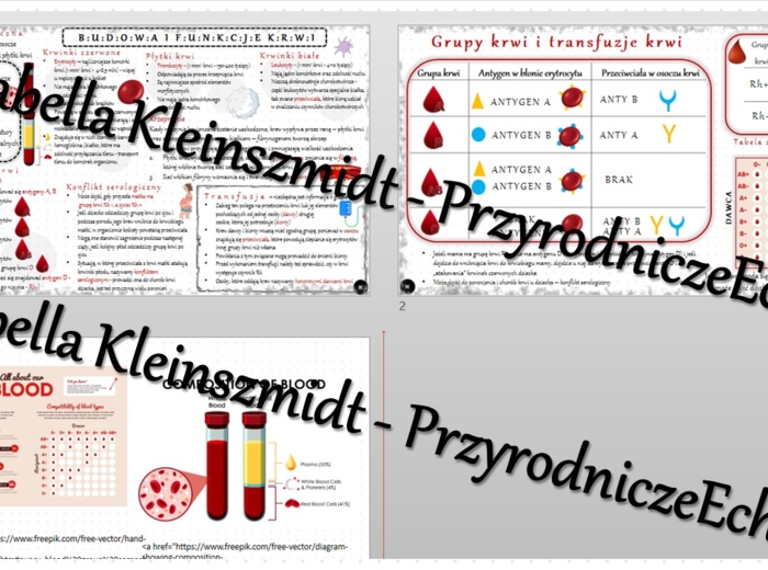 Sketchnotka - notatka „Budowa i funkcje krwi” wykonana w power point do edycji. Biologia 7; „Układ krążenia”