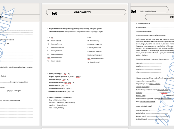 Przymiotnik kartkówka klasa 4/5