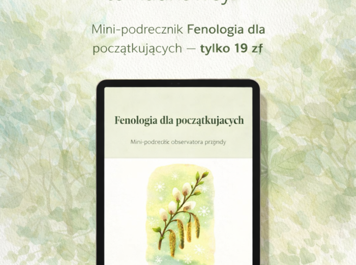 Mini-podręcznik „Fenologia dla początkujących”