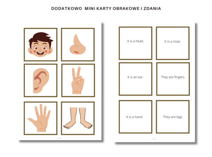 Karta Pracy, Części ciała, Body Parts, Liczba mnoga i Zaimki He/ She oraz zworty has got/ hasn't got/ Has ... got ?