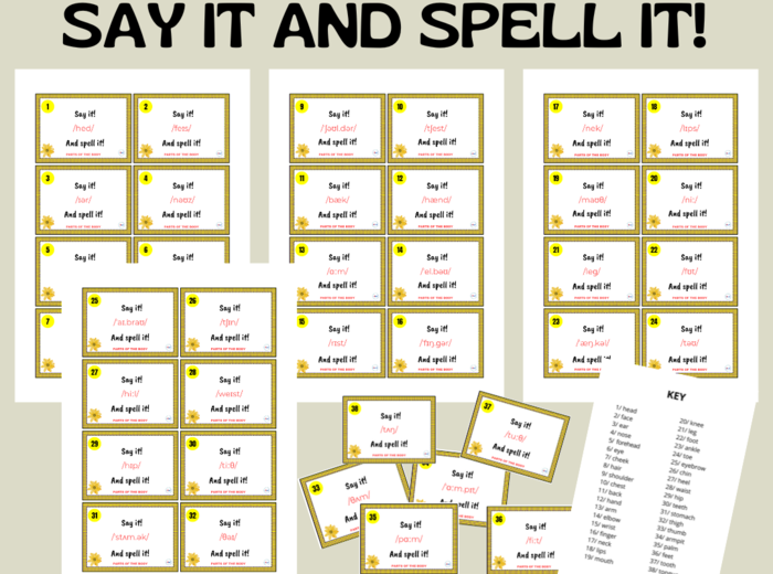 PARTS OF THE BODY PRONUNCIATION CARDS