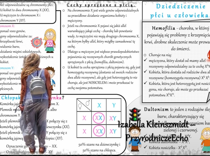 Sketchnotka - notatka „Dziedziczenie płci u człowieka” w pdf. Biologia 8; „GENETYKA”
