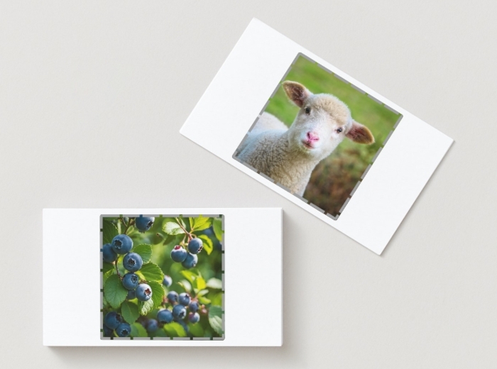 Puzzle łańcucha pokarmowego