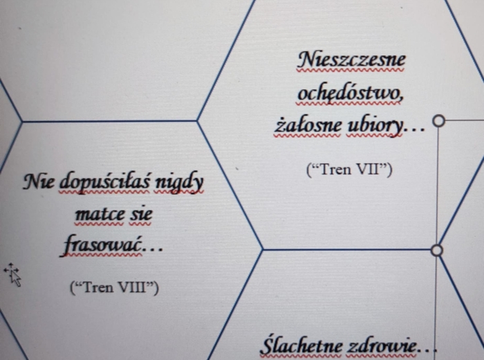 Narodowe czytanie w plastrach miodu zamknięte