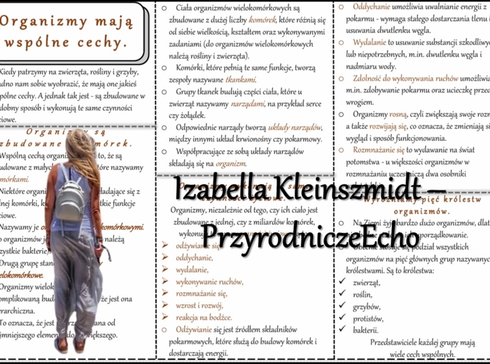 Książeczka/sketchnotka/notatka/wklejka/ściąga dla ucznia i przypomnienie dla nauczyciela/edukacja domowa. Temat „Organizmy mają wspólne cechy” w pdf. Przyroda 4, dział „Poznajemy świat organizmów”. Nowość 2024/2025.