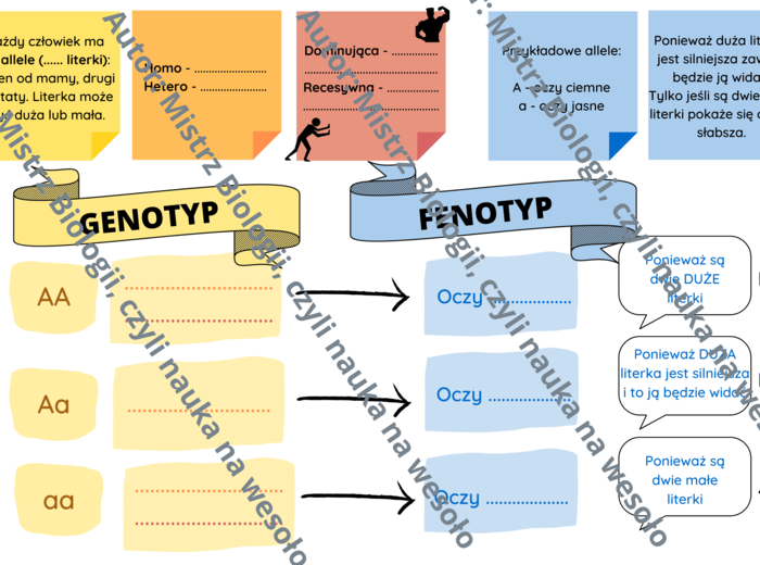 Wstęp do zadań z genetyki - do uzupełnienia