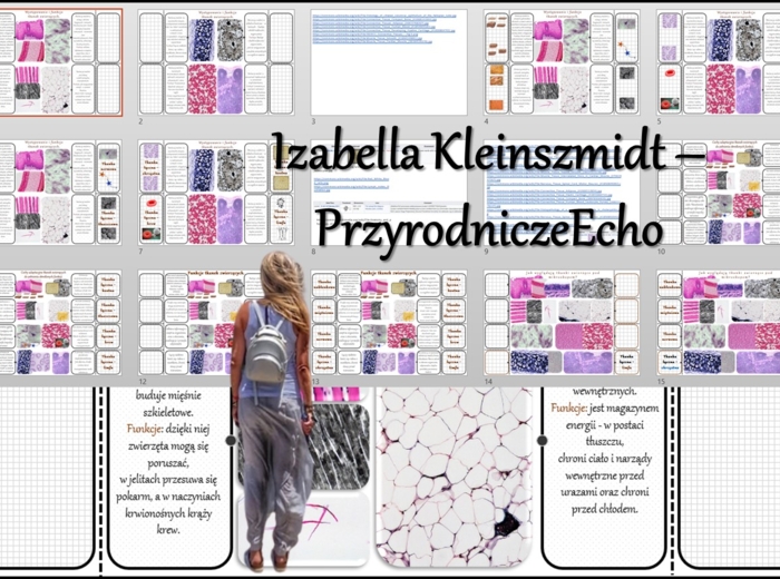 Notatki okienkowe/stacja zadaniowe/notatka/notatka graficzna/karta pracy/sketchnotka „Tkanki zwierzęce”, „W królestwie zwierząt” w pdf. Biologia 6 dział „Świat zwierząt”. Materiał wykonany na podstawie podręcznika z wydawnictwa Nowa Era – nowość 2024/202
