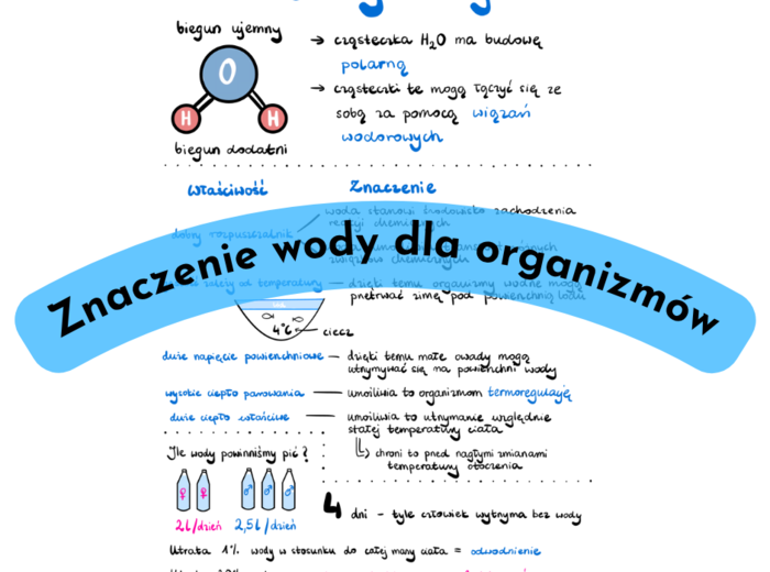 Znaczenie wody dla organizmów karta pracy/notatka/zadanie/eksperyment