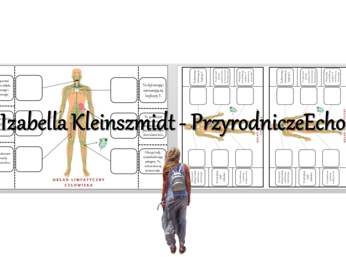 Notatka okienkowa „Układ limfatyczny”. Biologia 7. „Układ krążenia”.