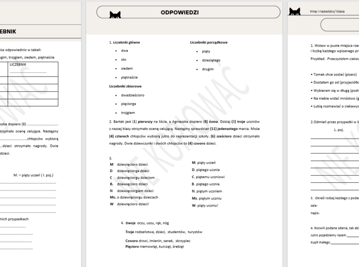 Odmienne części mowy - rzeczownik, czasownik, przymiotnik, liczebnik - zestaw kartkówek dla klasy 4/5