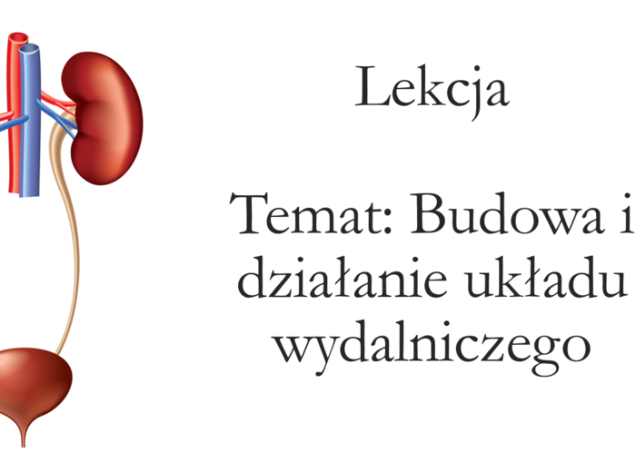 Klasa 7 - Budowa i działanie układu wydalniczego - prezentacja